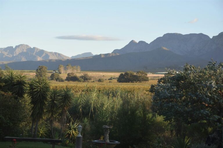 Illustrated map of the Breedekloof Wine Valley