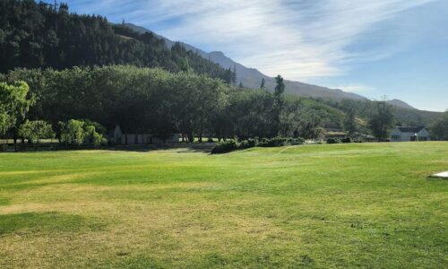 course thumbnail