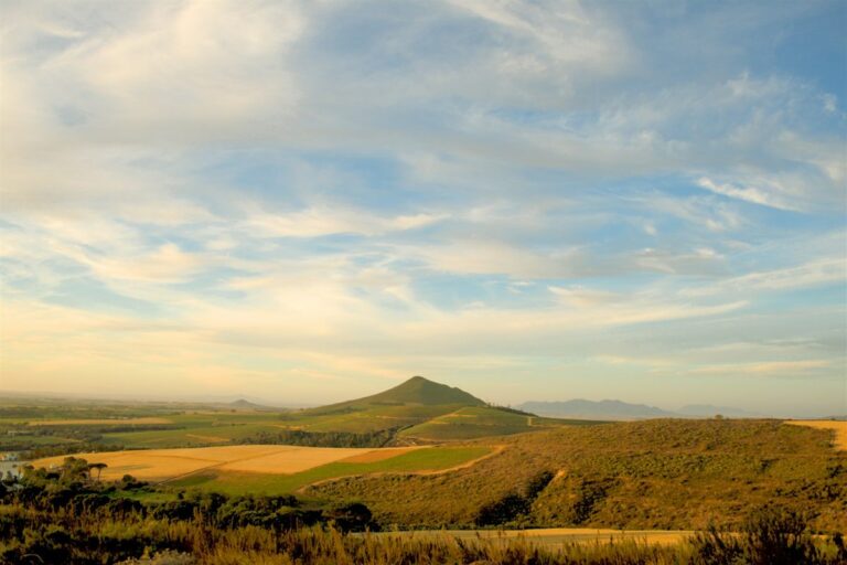 Illustrated map of the Robertson Wine Valley