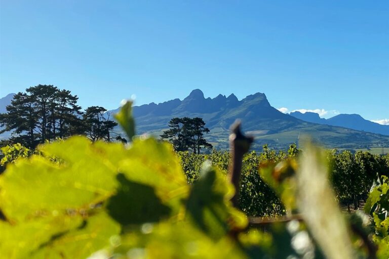 Illustrated map of the Stellenbosch – Helderberg
