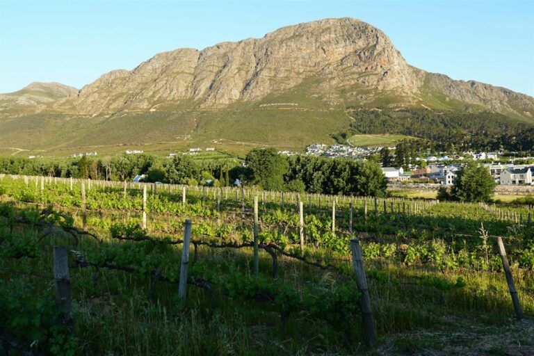 Illustrated map of the Stellenbosch – Valley