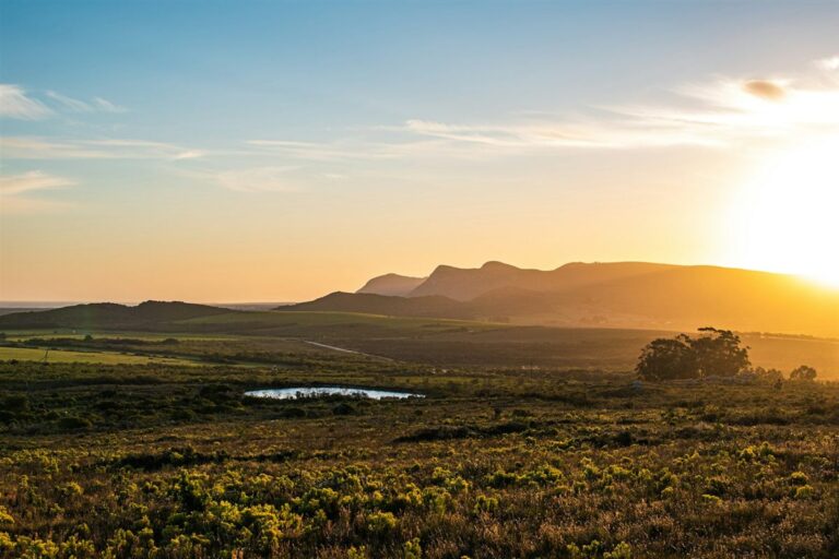 cvm-route-swartland-wine-and-olive-route
